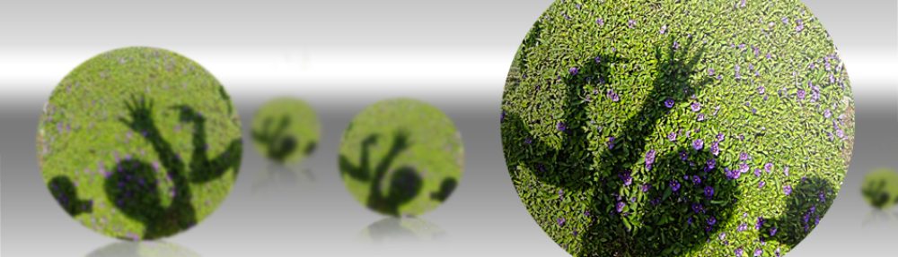 Prof. Dr. R. Lale TANER